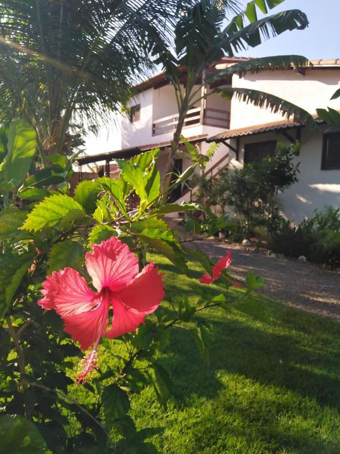 Tropicana Village São Miguel do Gostoso Extérieur photo